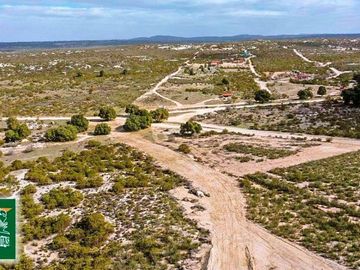 Se vende rancho en Bufalos Las Juntas, Tecate, B.C.
