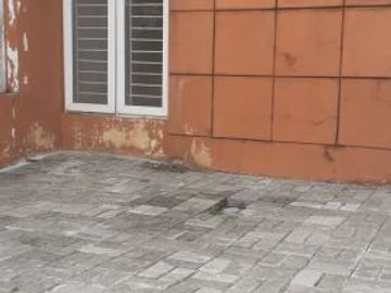 Cluster Hook Strategis Luas Lengkap Dkt Stasiun Kranji dan Tol Bintara