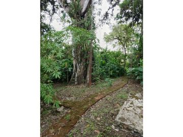 En venta Quinta en Pacoche Manta
