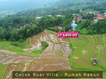 Dijual Tanah Lokasi Strategis View gunung - Wargajaya, Sukamakmur, Bogor