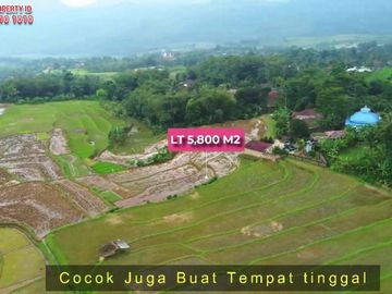 Dijual Tanah Lokasi Strategis View gunung - Wargajaya, Sukamakmur, Bogor