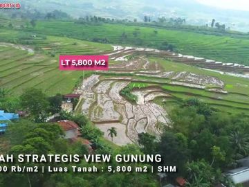 Dijual Tanah Lokasi Strategis View gunung - Wargajaya, Sukamakmur, Bogor