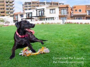 Penthouse en campo de golf, casa club y acceso al mar, en venta Cabo San Lucas.