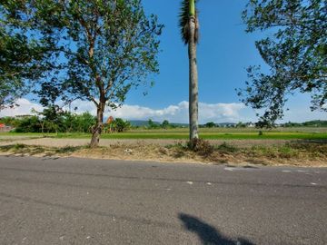 Rumah Murah Etnik Jawa di Prambanan