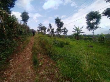 Tanah Bandung Luas 112 m2 Bisa Dicicil Cicalengka