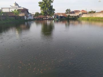 Tanah Strategis di Cianjur Di Bawah Harga Pasaran | PURNAMA