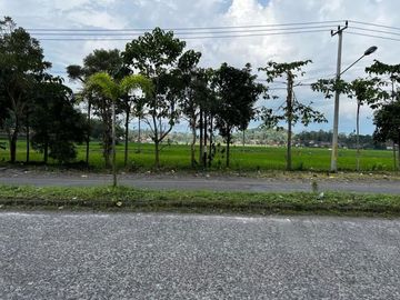 Tanah Garut Murah, SHM, area wisata Cipanas