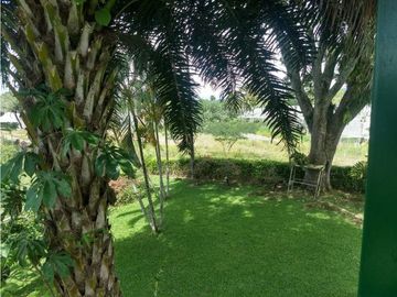 Venta De Finca En Morelia Pereira Rda.