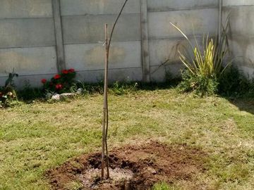 Casa en venta de 2 dormitorios en Pilar
