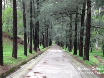 Departamento con alberca, pet friendly, coworking, venta Providencia Guadalajara