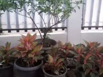 Rumah Dalam Komplek Dekat Pondok Surya Hook Karang Tengah