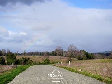 Parcela en Venta en Venta Parcelas en Condominio Lomas del Trebol, acceso Ruta 5S, 5.000 m2, Paillaco, Valdivia