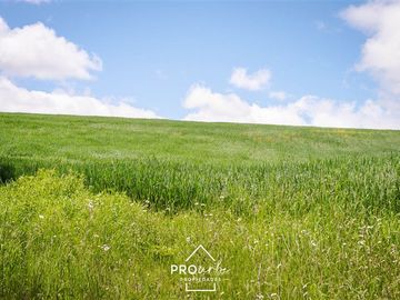 Parcela en Venta en Venta Parcelas en Condominio Lomas del Trebol, acceso Ruta 5S, 5.000 m2, Paillaco, Valdivia