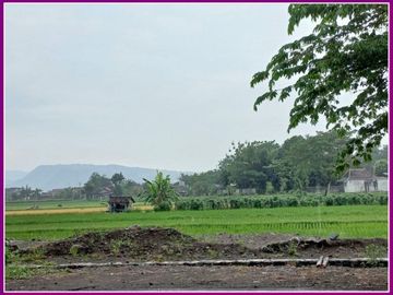 Tanah Kavling Luas 100 m2 Muka Aspal di Bugisan Prambanan