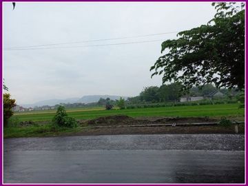 Tanah Kavling Luas 100 m2 Muka Aspal di Bugisan Prambanan