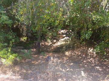 Sitio en Venta en Pencahue - Rinconada de lo Valenzuela