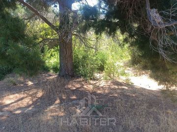 Sitio en Venta en Pencahue - Rinconada de lo Valenzuela