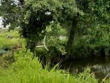Tanah Medokan Sawah Timur 4.5 Juta