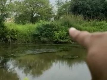 Tanah Medokan Sawah Timur 4.5 Juta