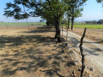 Tala - Rancho y Terreno en venta Cuisillos