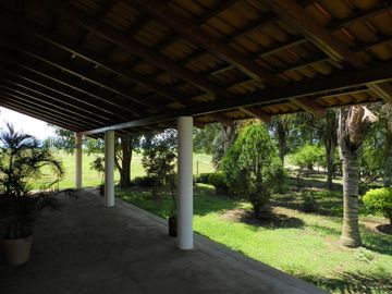 Tala - Rancho y Terreno en venta Cuisillos