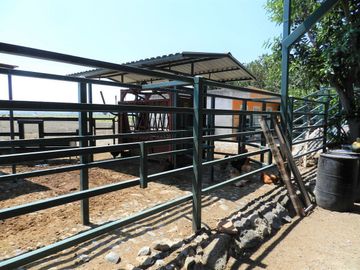 Tala - Rancho y Terreno en venta Cuisillos