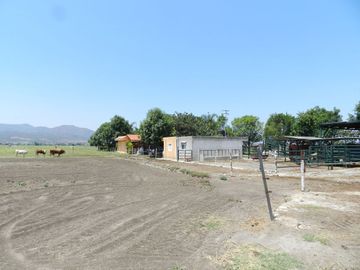 Tala - Rancho y Terreno en venta Cuisillos