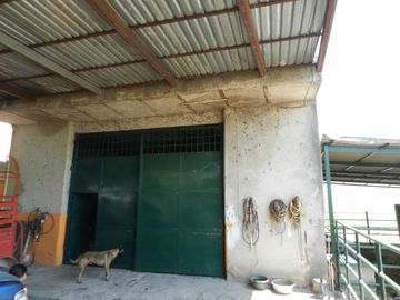 Tala - Rancho y Terreno en venta Cuisillos