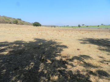 Tala - Rancho y Terreno en venta Cuisillos