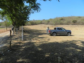 Tala - Rancho y Terreno en venta Cuisillos