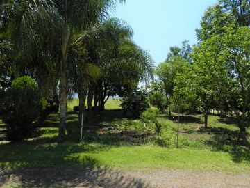 Tala - Rancho y Terreno en venta Cuisillos