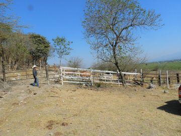Tala - Rancho y Terreno en venta Cuisillos