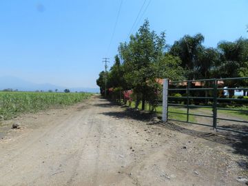 Tala - Rancho y Terreno en venta Cuisillos