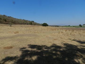 Tala - Rancho y Terreno en venta Cuisillos
