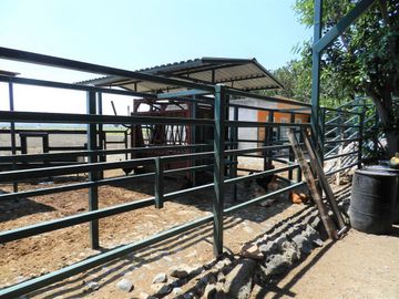 Tala - Rancho y Terreno en venta Cuisillos
