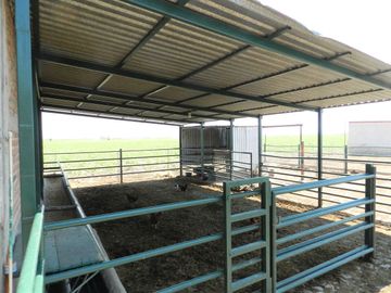 Tala - Rancho y Terreno en venta Cuisillos