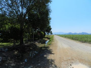 Tala - Rancho y Terreno en venta Cuisillos