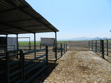Tala - Rancho y Terreno en venta Cuisillos
