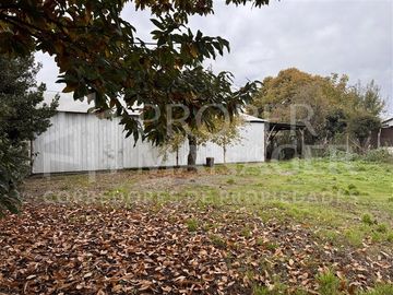 Terreno 952 m2 con Galpón 95 m2 - Ignacio Serrano, Pinto