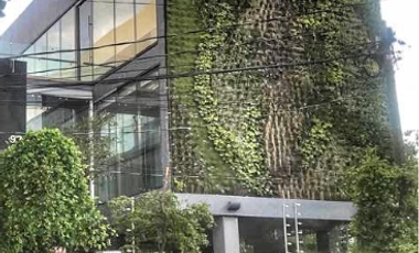 Oficinas en Renta, Chapalita