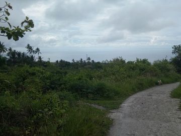 Pre-Selling 87 Sqm Residential Lot for Sale in San Fernando Cebu