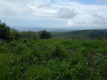 Pre-Selling 87 Sqm Residential Lot for Sale in San Fernando Cebu