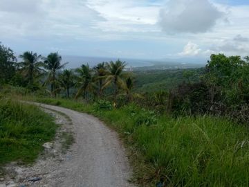 Pre-Selling 87 Sqm Residential Lot for Sale in San Fernando Cebu