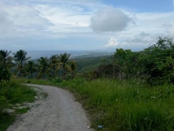 Pre-Selling 87 Sqm Residential Lot for Sale in San Fernando Cebu