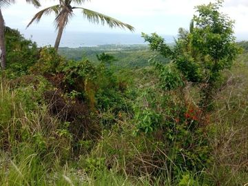 Pre-Selling 87 Sqm Residential Lot for Sale in San Fernando Cebu