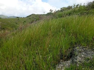 Pre-Selling 87 Sqm Residential Lot for Sale in San Fernando Cebu