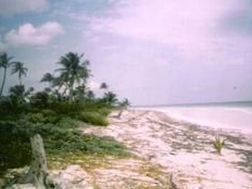 TERRENOS EN VENTA $80 USD M2 FRENTE MAR EN MAJAHUAL F 2840 LOTES: 50  X 100 MTS