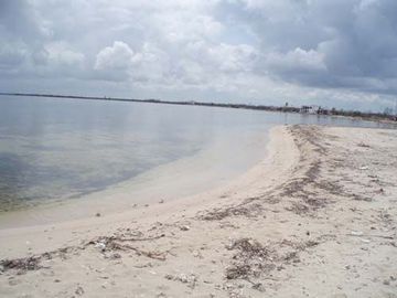 TERRENOS EN VENTA $80 USD M2 FRENTE MAR EN MAJAHUAL F 2840 LOTES: 50  X 100 MTS