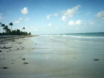 TERRENOS EN VENTA $80 USD M2 FRENTE MAR EN MAJAHUAL F 2840 LOTES: 50  X 100 MTS