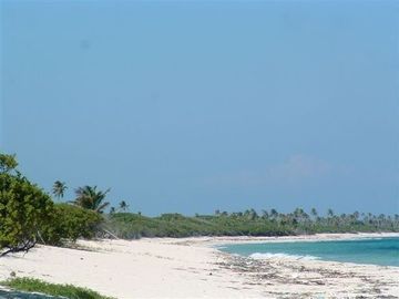 TERRENOS EN VENTA $80 USD M2 FRENTE MAR EN MAJAHUAL F 2840 LOTES: 50  X 100 MTS